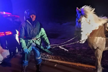 Фотография к новости: Заблудившихся в метель пастухов разыскали актюбинские спасатели