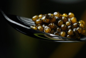 Фотография к новости: 28 килограммов чёрной икры изъяли у пенсионера в Уральске