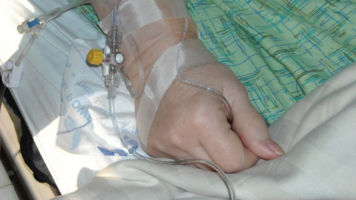  pixabay.com / иллюстративное фото