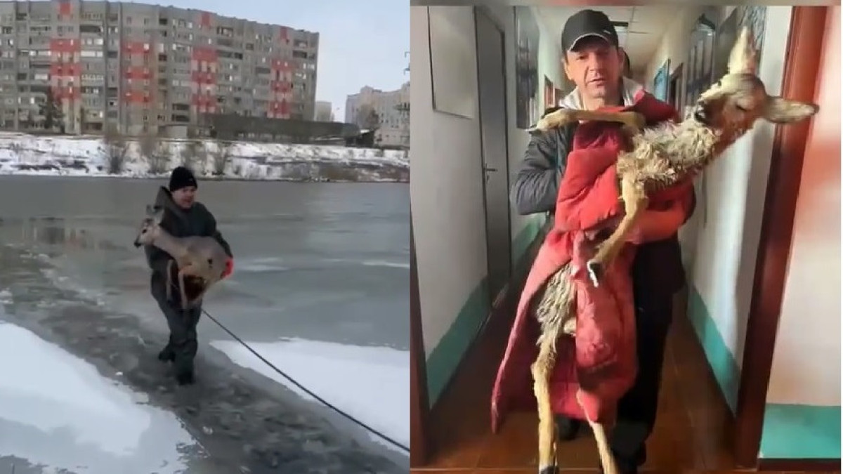  кадр из видео