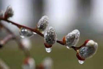 Фотография к новости: Какой будет погода в ближайшие дни в Казахстане