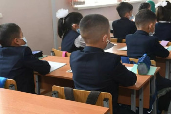 Фотография к новости: Почти 300 тысяч мест не хватает в школах Казахстана — Кульгинов