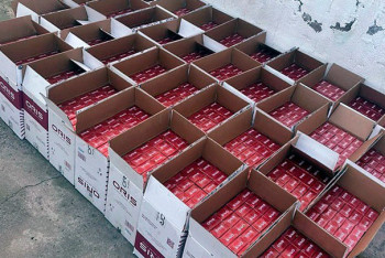 Фотография к новости: Более 20 тысяч пачек сигарет хотели незаконно провезти в Казахстан из Кыргызстана