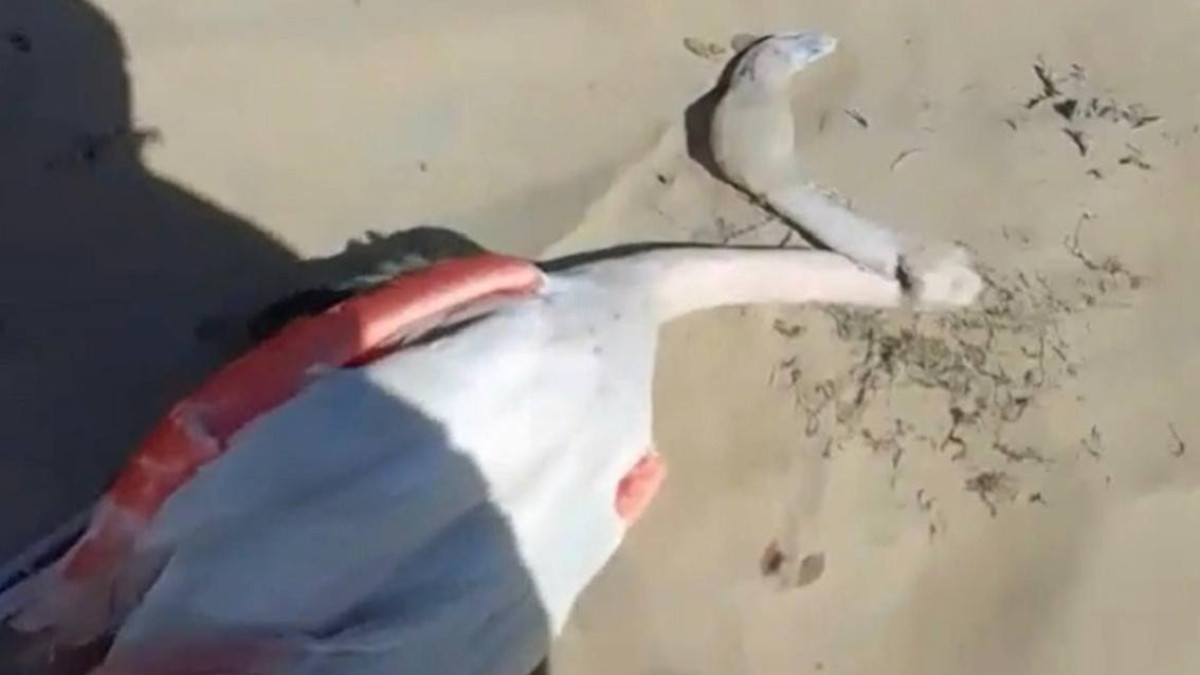  пресс-служба Минэкологии РК