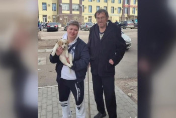 Фотография к новости: В балхашский приют для собак и кошек подкинули человека