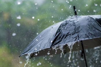 Фотография к новости: Дожди ожидаются в Казахстане