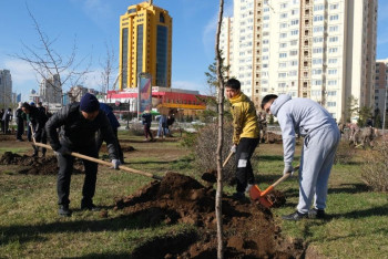 Фотография к новости: Общегородской субботник состоится в Астане 29 апреля