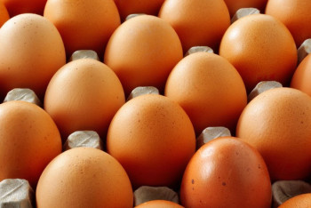 Фотография к новости: АФМ выявило превышение надбавки на яйца в Карагандинской области