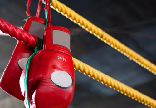 Фотография к новости: По 100 тысяч долларов получат казахстанские боксёры от спонсора в случае победы на ЧМ