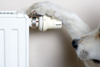 Фотография к новости: Стало известно, когда в Астане отключат отопление