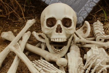 Фотография к новости: Жуткая находка: скелет человека в мешке обнаружили в Экибастузе