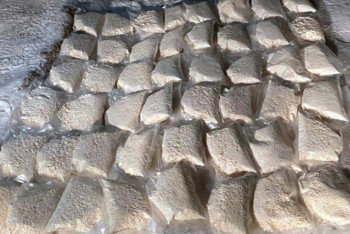 Фотография к новости: Более тонны наркотиков изъяли в Казахстане с начала года — КНБ