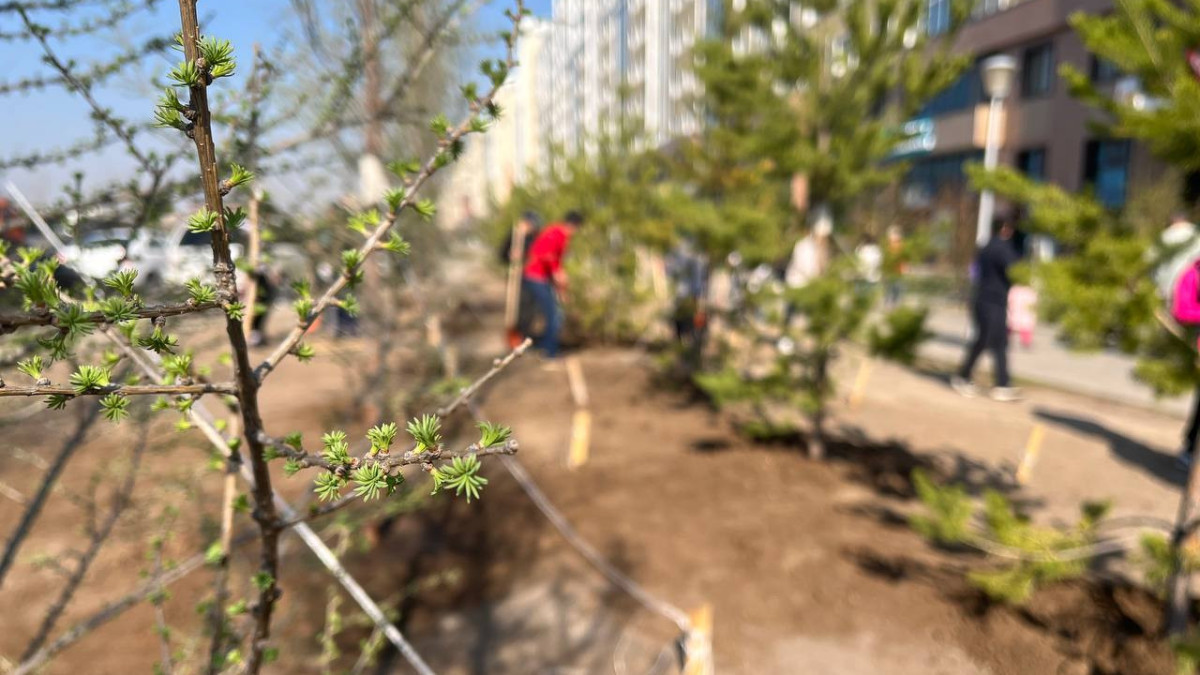  Майра Джиенгулова