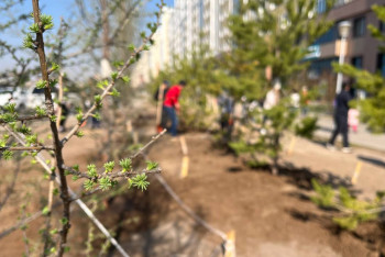 Фотография к новости: В Астане прошёл большой общегородской субботник