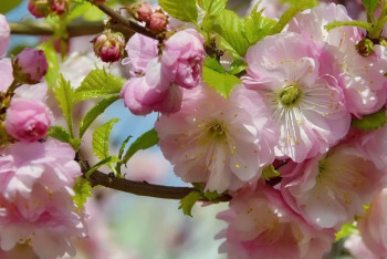 Фотография к новости: Каким будет май в Казахстане