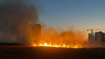 Фотография к новости: Сухостой загорелся возле ЖК в Астане