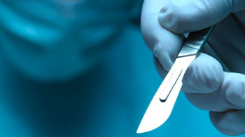 Фотография к новости: Американка украла и продала 20 ящиков с человеческими мозгами, руками и головой