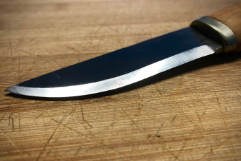 Фотография к новости: Школьница ранила ножом учителя и сверстника в Белграде