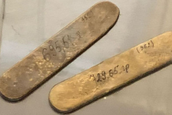 Фотография к новости: Золотые слитки на 41 млн тенге пытались контрабандой вывезти из Шымкента