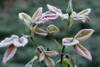 Фотография к новости: Какую погоду обещают казахстанцам синоптики в выходные