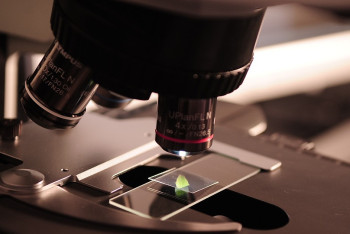 Фотография к новости: Казахстан резко увеличил инвестиции в науку