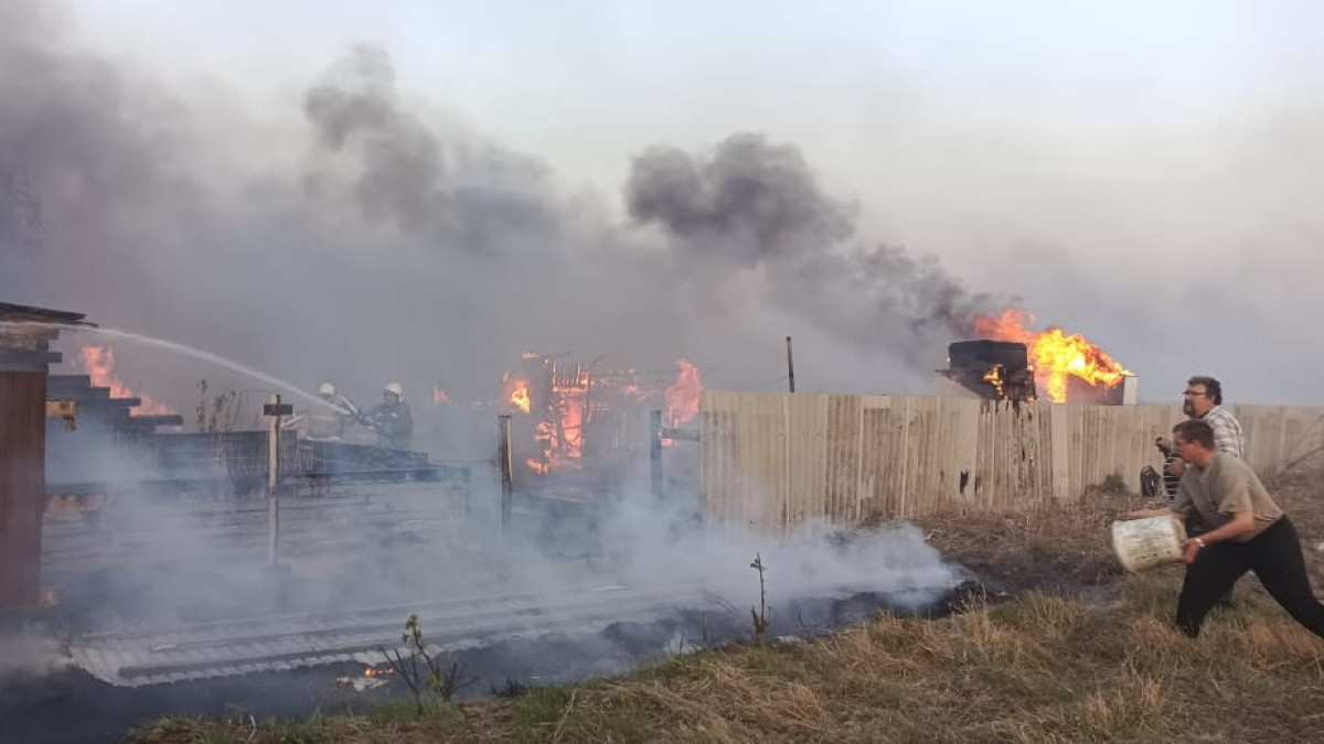  Анна Мирская