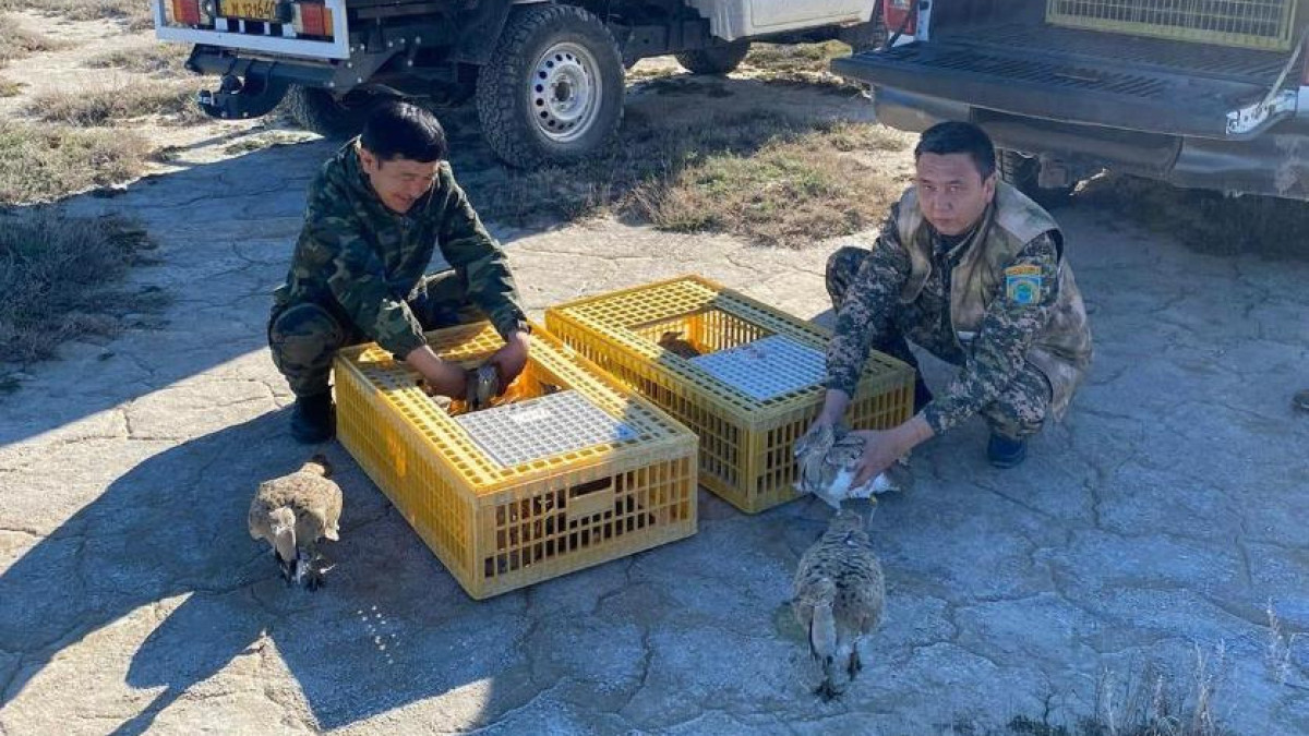  министерство экологии и природных ресурсов РК