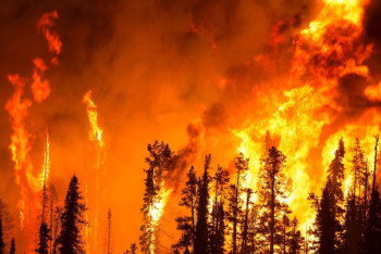 Фотография к новости: "Огненный шторм" охватил Россию