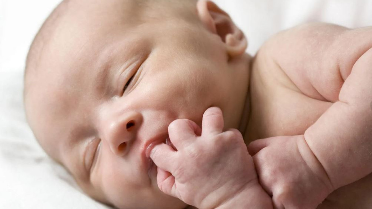  twitter.com/SevimliBala