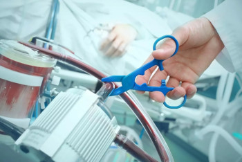 Фотография к новости: В Португалии приняли закон об эвтаназии