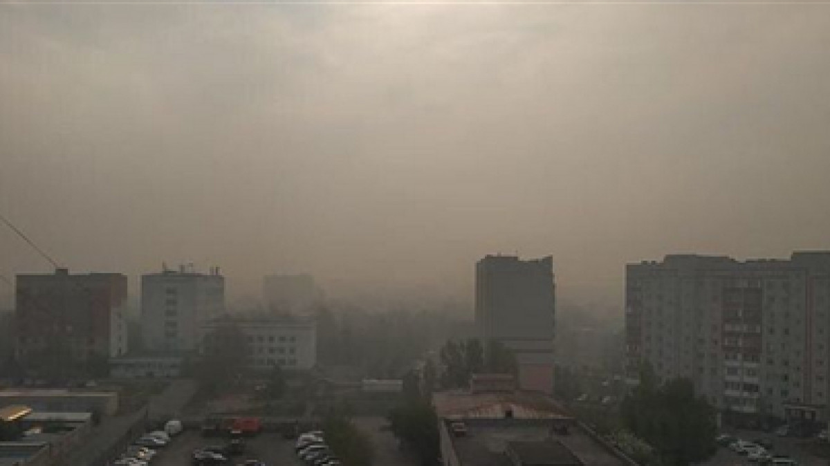  instagram.com/tipavlo.dar