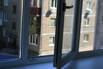 Фотография к новости: Пьяный павлодарец выбросил щенка с третьего этажа