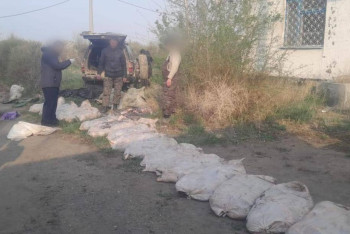 Фотография к новости: Почти тонну рыбы незаконно выловил алматинец в Павлодаре