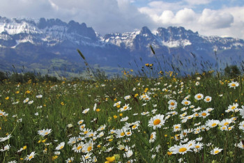 Фотография к новости: Потепление и град обещают синоптики казахстанцам на выходных