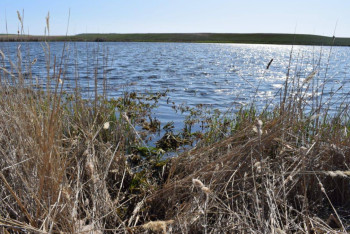 Фотография к новости: Тело пропавшей 14-летней девочки нашли в котловане в СКО