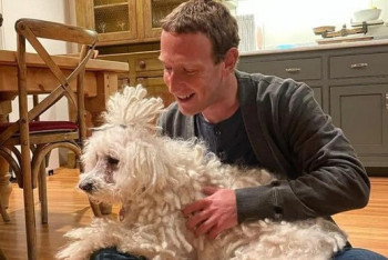 Фотография к новости: Искусственный интеллект, способный распознавать более чем 4 000 языков, создала Meta