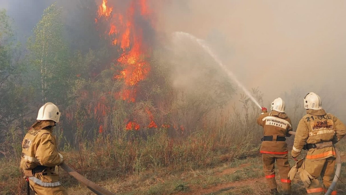  акимат Абайской области