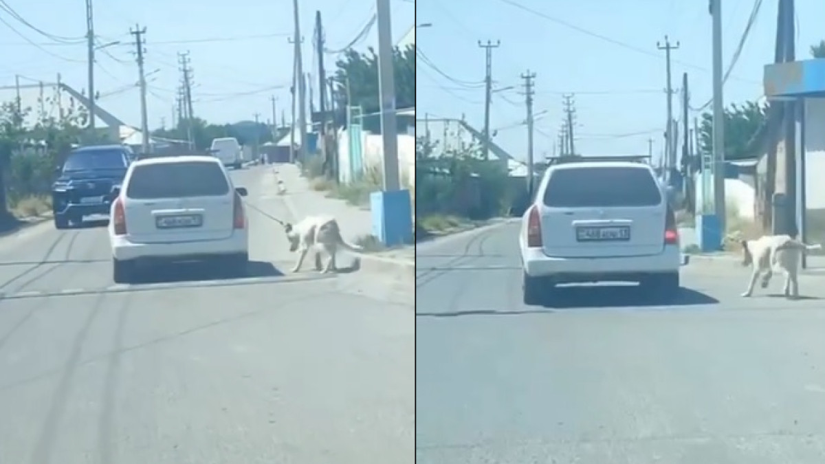  кадр из видео