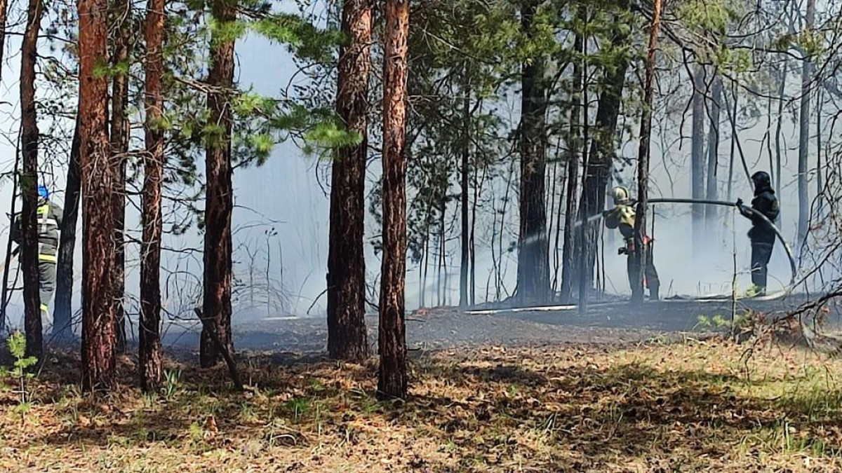  пресс-служба МЧС РК