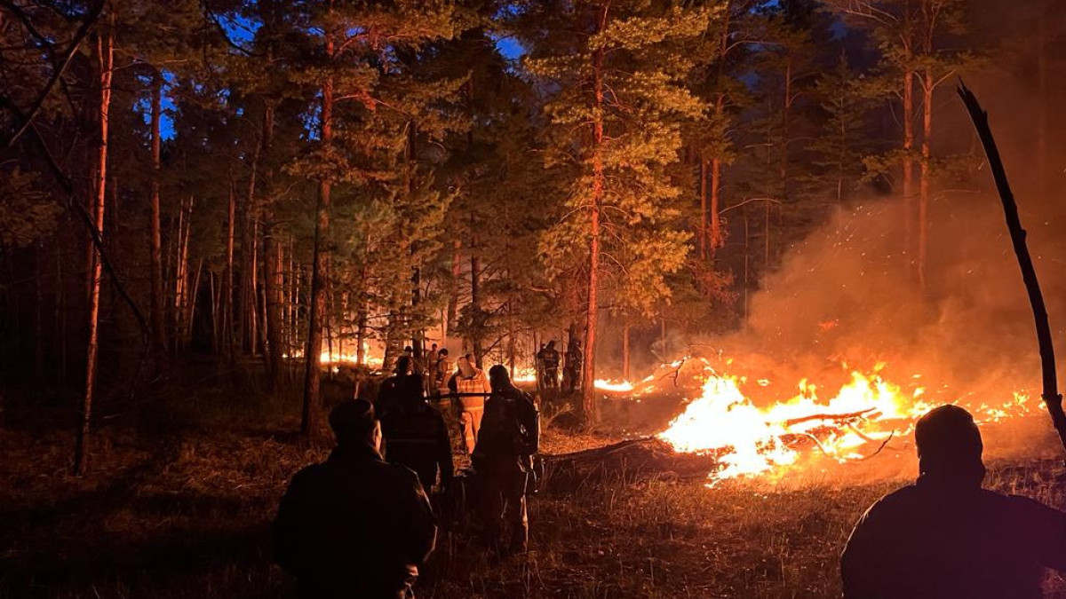  ДЧС области Абай