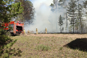 Фотография к новости: Режим ЧС объявят в Абайской области из-за крупного пожара
