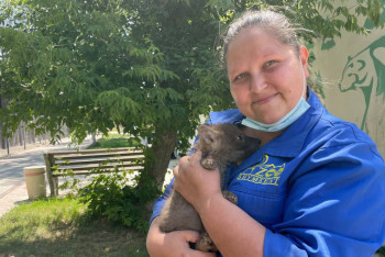 Фотография к новости: Сотрудники Шымкентского зоопарка рассказали о своей нелегкой работе