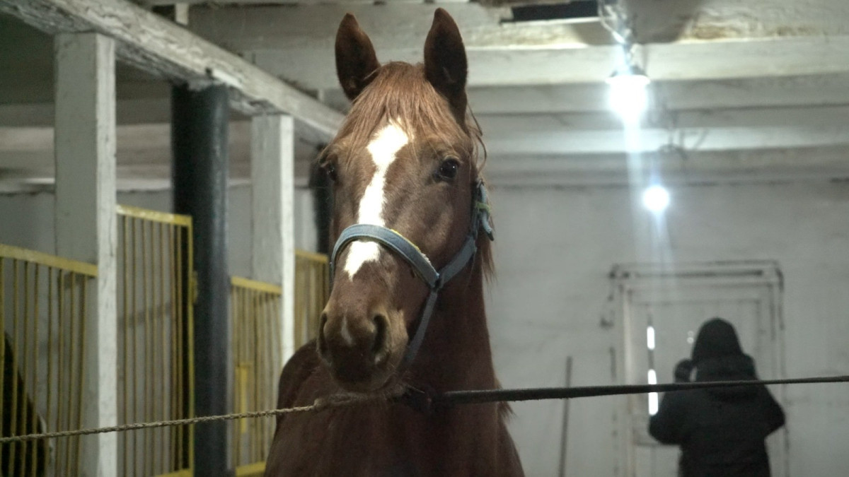  Рената Актаева