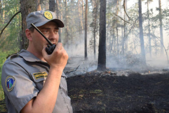 Фотография к новости: Крупный лесной пожар тушат в Акмолинской области
