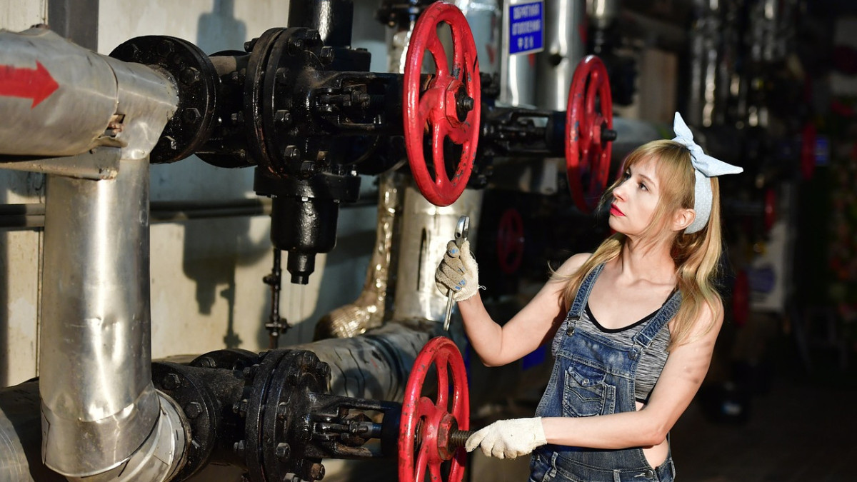  pixabay.com/Victoria_Regen