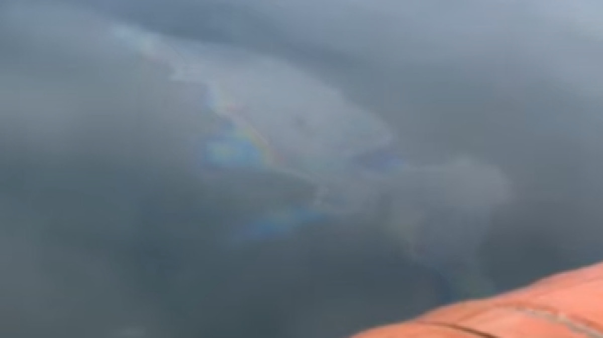  кадр из видео