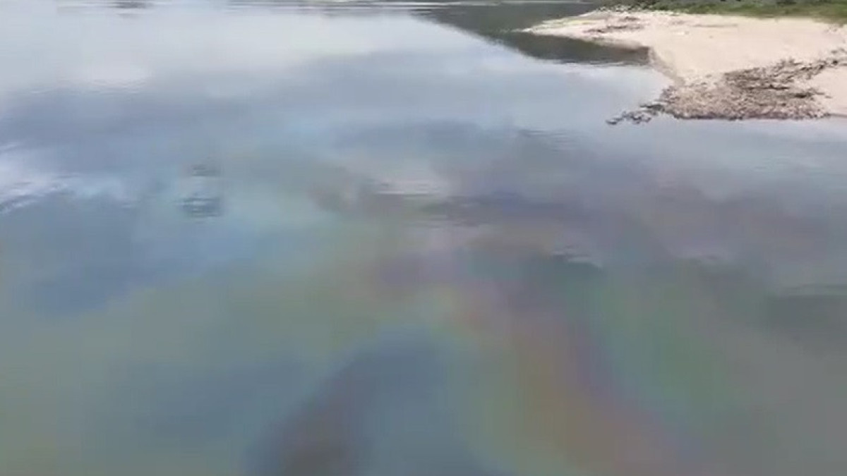  кадр из видео