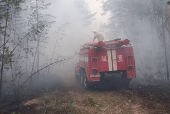 Фотография к новости: Объявлен сбор для помощи пострадавшим от лесного пожара в области Абай