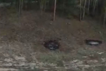 Фотография к новости: Пожар в Абайской области: версию поджога рассматривает следствие