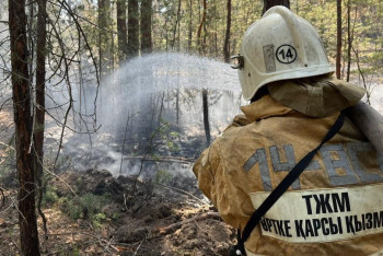 Фотография к новости: МЧС и Минэкологии имели доступ к данным о возгорании в "Семей орманы" уже днём 8 июня